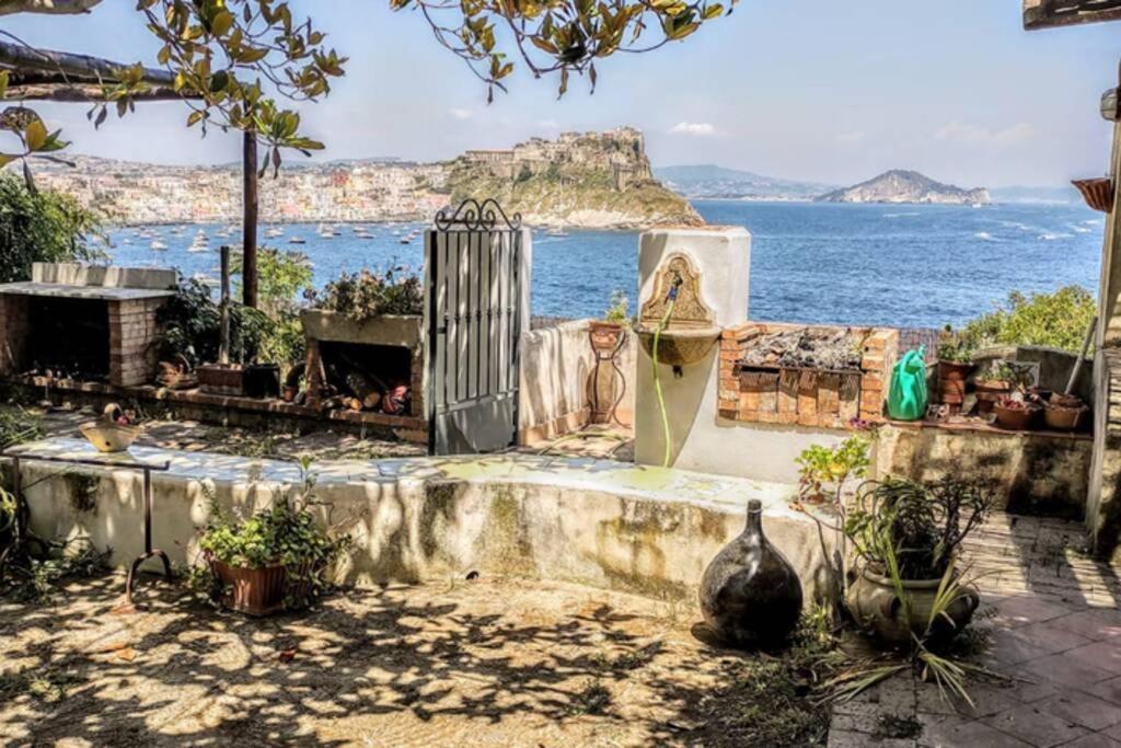 Il Giardino Blu Oltremare - Exclusive Garden